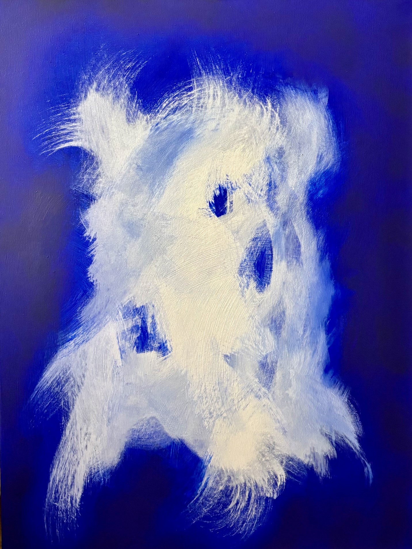 Dog in the Sky